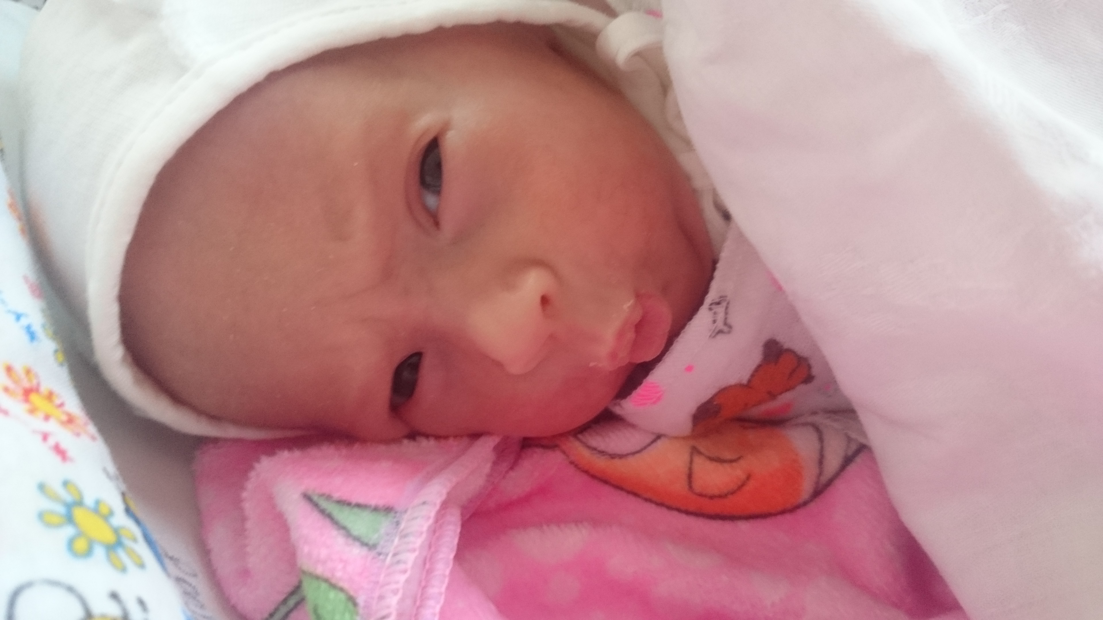 Фото Гулида