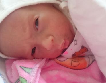 Фото Гулида