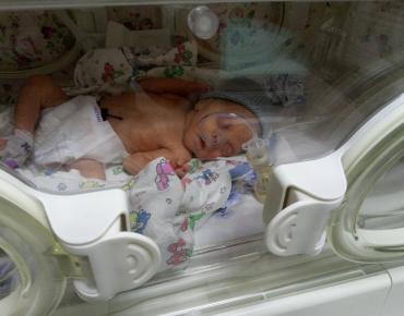 Фото N Линник