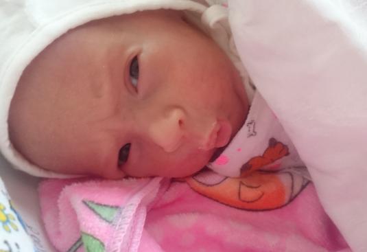 Фото Гулида