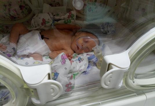 Фото N Линник